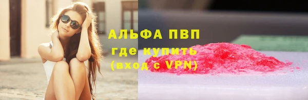 гидра Ахтубинск