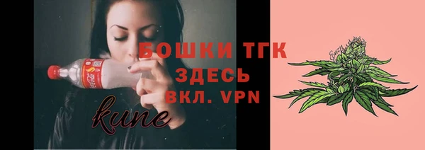 стафф Михайловск