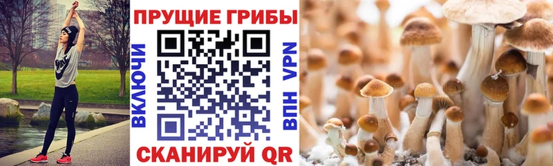 ОМГ ОМГ ТОР  Партизанск  Галлюциногенные грибы ЛСД  где можно купить наркотик 